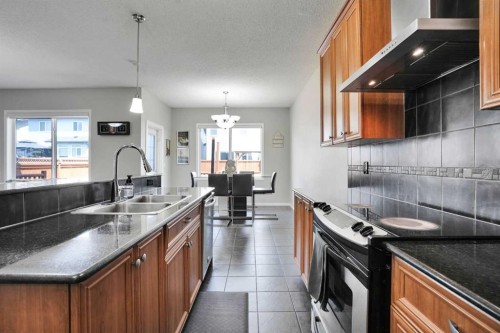 454 Skyview Ranch Way Ne, Calgary, AB - Indoor Photo Showing Kitchen With Double Sink