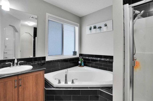 454 Skyview Ranch Way Ne, Calgary, AB - Indoor Photo Showing Bathroom