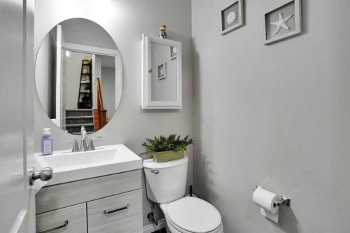 454 Skyview Ranch Way Ne, Calgary, AB - Indoor Photo Showing Bathroom