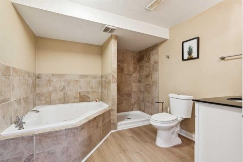 411 Silverado Drive Sw, Calgary, AB - Indoor Photo Showing Bathroom