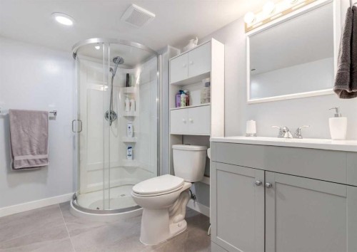332 Pinemont Road Ne, Calgary, AB - Indoor Photo Showing Bathroom