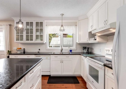 332 Pinemont Road Ne, Calgary, AB - Indoor Photo Showing Kitchen With Double Sink