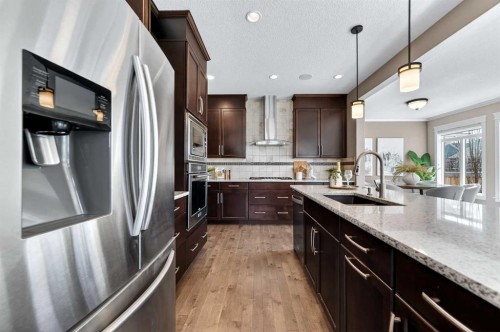 248 Marquis Landing Se, Calgary, AB - Indoor Photo Showing Kitchen With Upgraded Kitchen