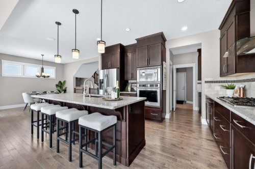 248 Marquis Landing Se, Calgary, AB - Indoor Photo Showing Kitchen With Stainless Steel Kitchen With Upgraded Kitchen