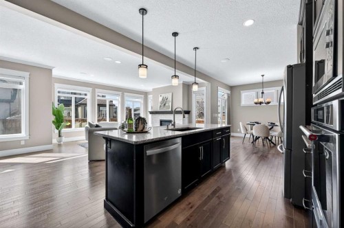 248 Marquis Landing Se, Calgary, AB - Indoor Photo Showing Kitchen With Double Sink With Upgraded Kitchen
