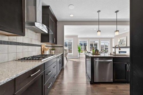 248 Marquis Landing Se, Calgary, AB - Indoor Photo Showing Kitchen With Upgraded Kitchen