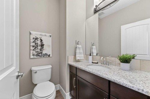 248 Marquis Landing Se, Calgary, AB - Indoor Photo Showing Bathroom