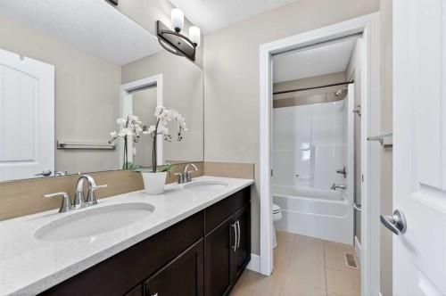 248 Marquis Landing Se, Calgary, AB - Indoor Photo Showing Bathroom
