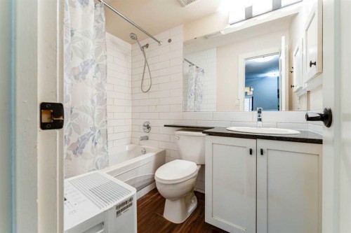202-823 19 Avenue Sw, Calgary, AB - Indoor Photo Showing Bathroom