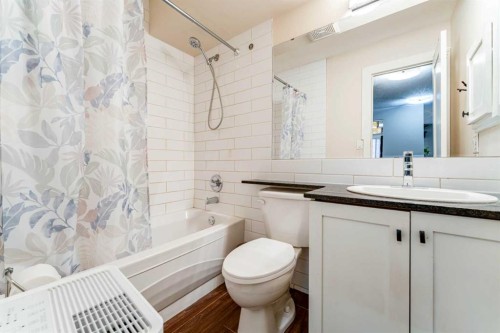 202-823 19 Avenue Sw, Calgary, AB - Indoor Photo Showing Bathroom