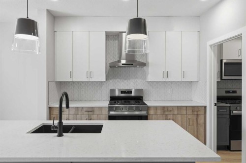 43 Belvedere Crescent Se, Calgary, AB - Indoor Photo Showing Kitchen With Double Sink With Upgraded Kitchen