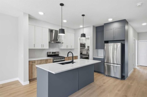 43 Belvedere Crescent Se, Calgary, AB - Indoor Photo Showing Kitchen With Double Sink With Upgraded Kitchen
