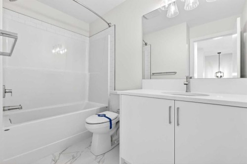1109 Sailfin Heath, Rural Rocky View County, AB - Indoor Photo Showing Bathroom