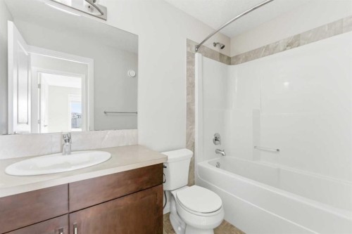 96 Red Embers Crescent Ne, Calgary, AB - Indoor Photo Showing Bathroom