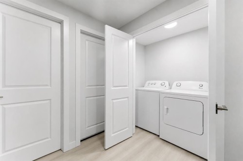 96 Red Embers Crescent Ne, Calgary, AB - Indoor Photo Showing Laundry Room