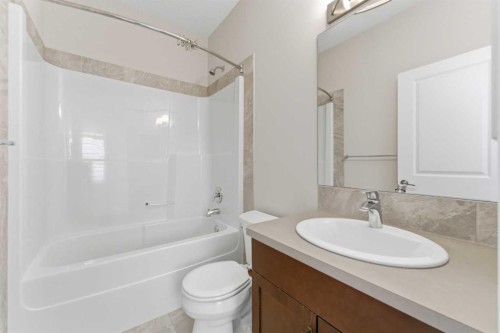 96 Red Embers Crescent Ne, Calgary, AB - Indoor Photo Showing Bathroom