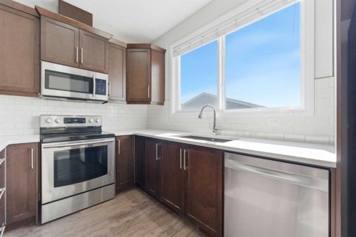 96 Red Embers Crescent Ne, Calgary, AB - Indoor Photo Showing Kitchen With Stainless Steel Kitchen With Upgraded Kitchen