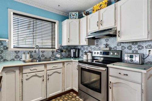 159 Fresno Place Ne, Calgary, AB - Indoor Photo Showing Kitchen With Stainless Steel Kitchen With Double Sink