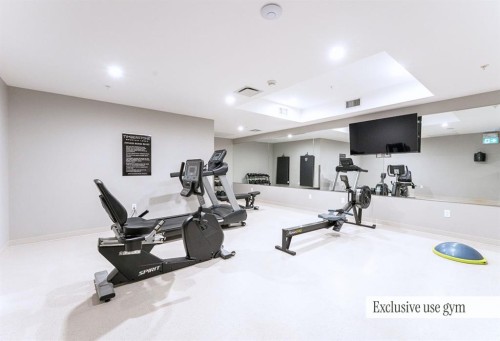 210-1408 Spring Creek Gate, Canmore, AB 