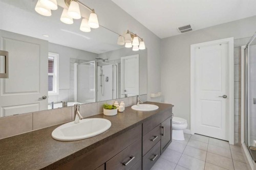 236 Auburn Springs Close Se, Calgary, AB - Indoor Photo Showing Bathroom