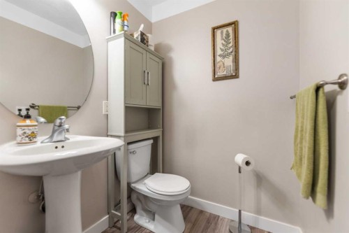 123 Hawkmere View, Chestermere, AB - Indoor Photo Showing Bathroom