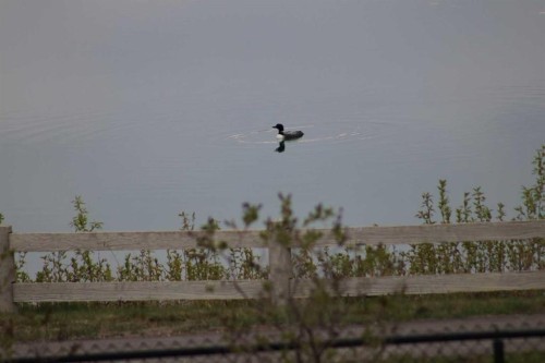 31 Montenaro Bay, Cochrane Lake, AB - Outdoor With View
