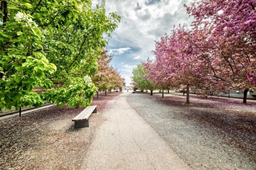 75 Silverado Bank Gardens Sw, Calgary, AB - Outdoor