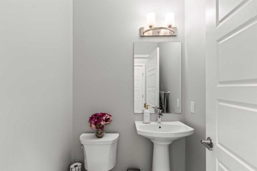 46 Corner Meadows Common Ne, Calgary, AB - Indoor Photo Showing Bathroom