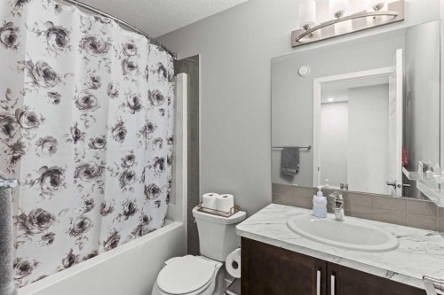 46 Corner Meadows Common Ne, Calgary, AB - Indoor Photo Showing Bathroom