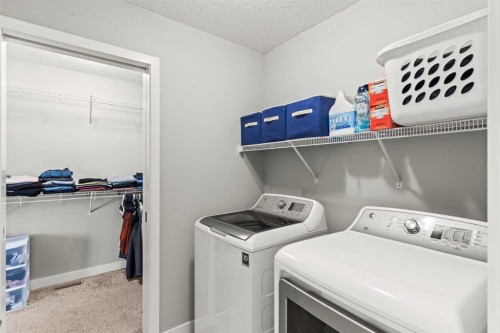 46 Corner Meadows Common Ne, Calgary, AB - Indoor Photo Showing Laundry Room