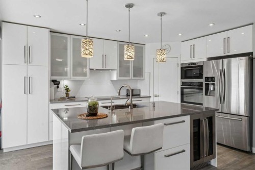 105 Royal Birch Crescent Nw, Calgary, AB - Indoor Photo Showing Kitchen With Upgraded Kitchen