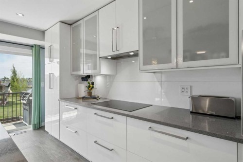 105 Royal Birch Crescent Nw, Calgary, AB - Indoor Photo Showing Kitchen With Upgraded Kitchen