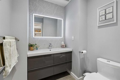 105 Royal Birch Crescent Nw, Calgary, AB - Indoor Photo Showing Bathroom