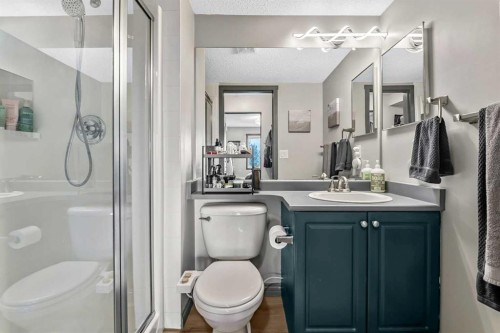 2307-12 Cimarron Common, Okotoks, AB - Indoor Photo Showing Bathroom
