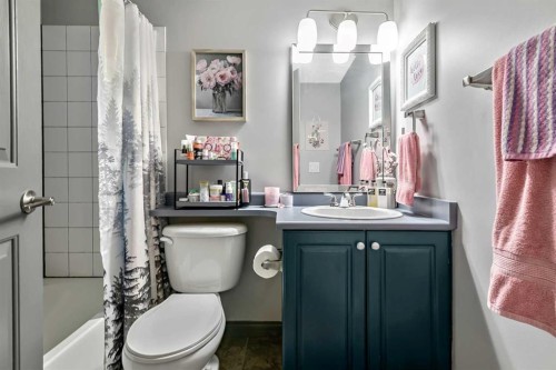 2307-12 Cimarron Common, Okotoks, AB - Indoor Photo Showing Bathroom