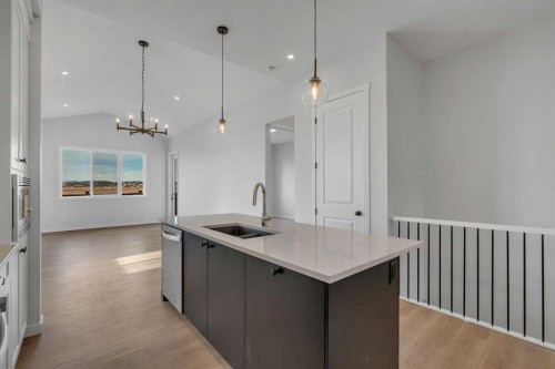 107 Bartlett Row Se, Calgary, AB - Indoor Photo Showing Kitchen With Double Sink With Upgraded Kitchen