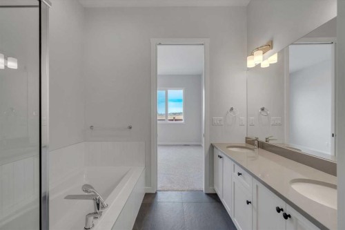 107 Bartlett Row Se, Calgary, AB - Indoor Photo Showing Bathroom