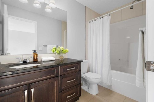 49 Auburn Crest Lane Se, Calgary, AB - Indoor Photo Showing Bathroom