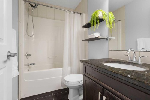 49 Auburn Crest Lane Se, Calgary, AB - Indoor Photo Showing Bathroom