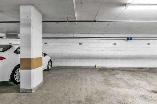 2507-211 13 Avenue Se, Calgary, AB - Indoor Photo Showing Garage