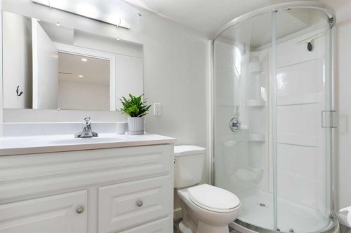 14 Montrose Crescent Ne, Calgary, AB - Indoor Photo Showing Bathroom