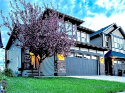 41 Chaparral Valley Green SE Calgary, AB T2X 0M3