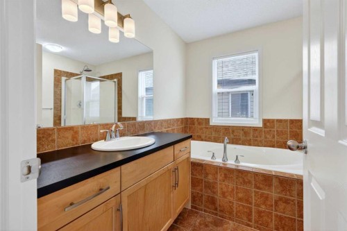 261 Copperstone Terrace Se, Calgary, AB - Indoor Photo Showing Bathroom