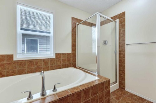 261 Copperstone Terrace Se, Calgary, AB - Indoor Photo Showing Bathroom