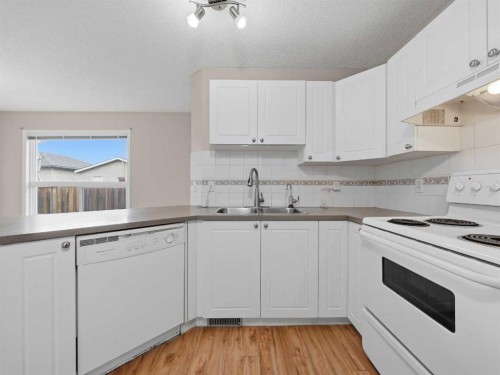 128 Taradale Drive Ne, Calgary, AB - Indoor Photo Showing Kitchen With Double Sink