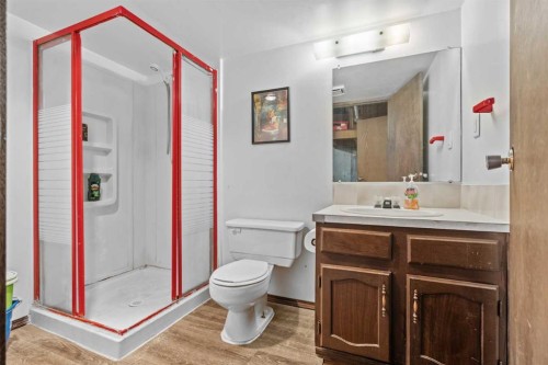 240 Lynnview Way Se, Calgary, AB - Indoor Photo Showing Bathroom