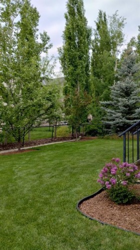 430 Discovery Ridge Boulevard Sw, Calgary, AB - Outdoor