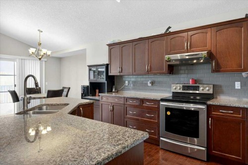 248 Rainbow Falls Way, Chestermere, AB - Indoor Photo Showing Kitchen With Double Sink With Upgraded Kitchen