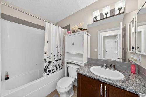 248 Rainbow Falls Way, Chestermere, AB - Indoor Photo Showing Bathroom