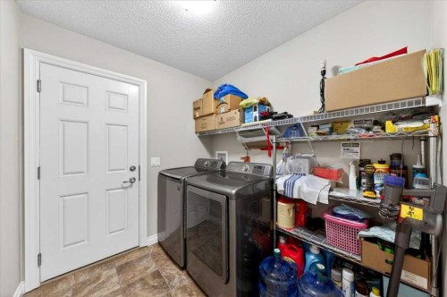 248 Rainbow Falls Way, Chestermere, AB - Indoor Photo Showing Laundry Room